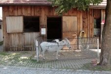 Wirtshaus zur Minidampfbahn