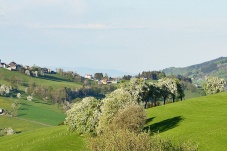 St. Georgen in der Klaus