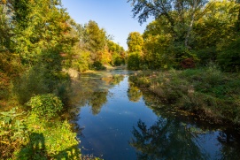 Donau Auen Tulln