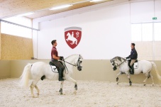 Lipizzaner Ausbildungszentrum