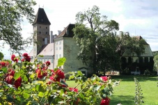 Schloss Goldegg