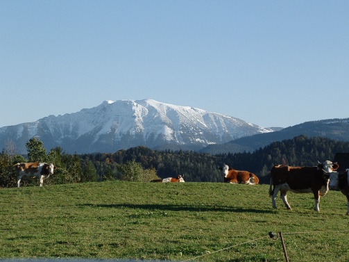 Ötscher & Bergbahnen Lackenhof