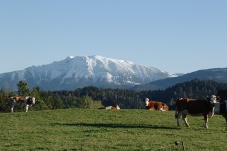 Ötscher & Bergbahnen Lackenhof