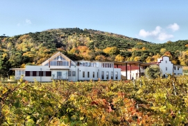 Weingut Schlossberg