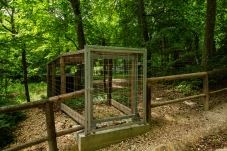 Wolf Science Center Ernstbrunn