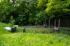Wolf Science Center Ernstbrunn
