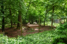 Wolf Science Center Ernstbrunn