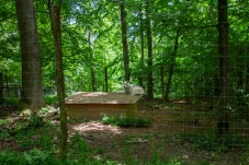 Wolf Science Center Ernstbrunn