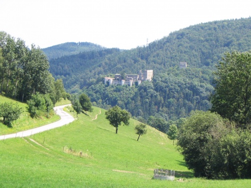 Burgruine Kirchschlag