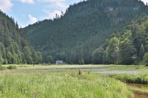 Erlaufsee