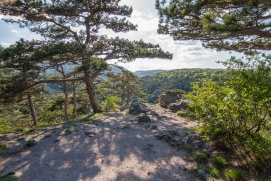 Klausental im Naturpark Föhrenberge