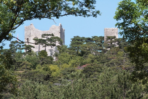 Burgruine Mödling