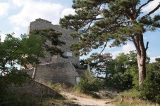 Burgruine Mödling