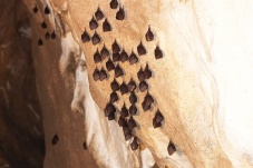 Hermannshöhle