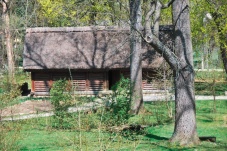 MAMUZ Museum Asparn/Zaya