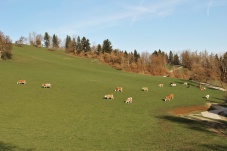 Schoberhof