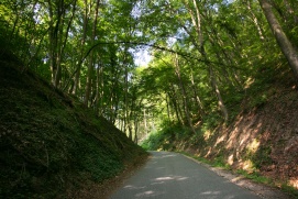 Burgruine Aggstein