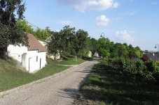 Kellergasse Altlichtenwarth