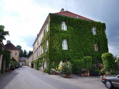 Schloss Hollenburg