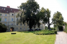 Schloss Horn