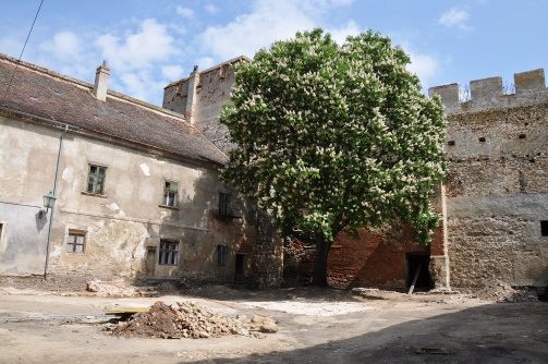 Burg Laa an der Thaya