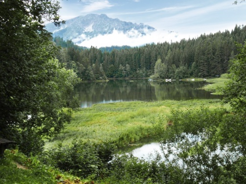 Erlaufstausee