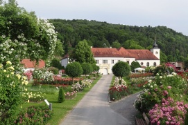 Rosengarten Pitten
