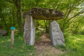 Kraftweg Forst Maria Laach