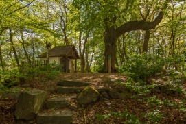 Kraftweg Forst Maria Laach