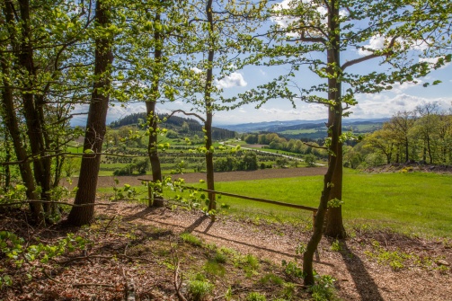 Kraftweg Forst Maria Laach