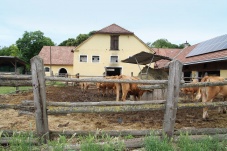 Schloss Zwentendorf