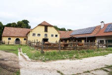 Schloss Zwentendorf