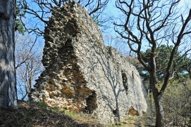 Burgruine Kammerstein