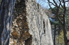 Burgruine Kammerstein