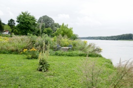 Feriensiedlung Strombad Kritzendorf