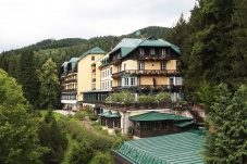 Alpenhotel Gösing