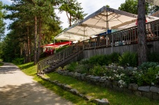 Seedose Viehofen