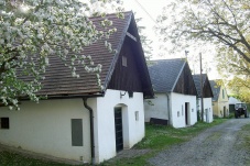 Paasdorf Ortsmitte & Kellergasse