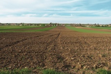 Kellergasse Zwingendorf