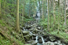 Falkenschlucht