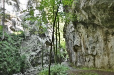 Falkenschlucht