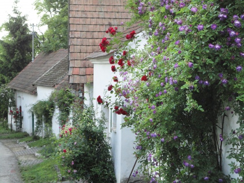 Kellerdorf und Rosengasse Ameis