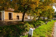 Kellergasse Feuersbrunn & Weingut Öhlzelt