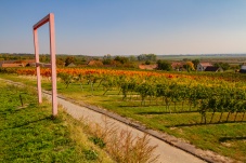 Kellergasse Feuersbrunn & Weingut Öhlzelt