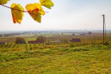 Kellergasse Feuersbrunn & Weingut Öhlzelt