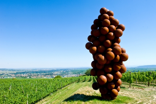 WEINWEG Langenlois