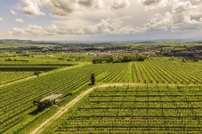 WEINWEG Langenlois