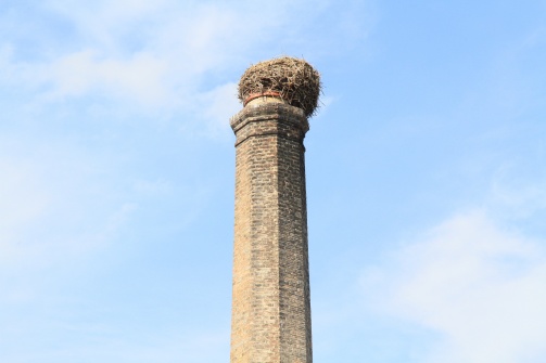 Arena Horn
