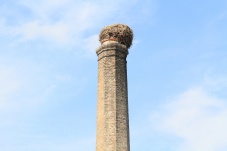 Arena Horn