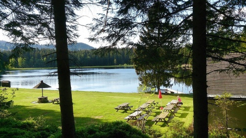 Moorteich ›Stierhübelteich‹